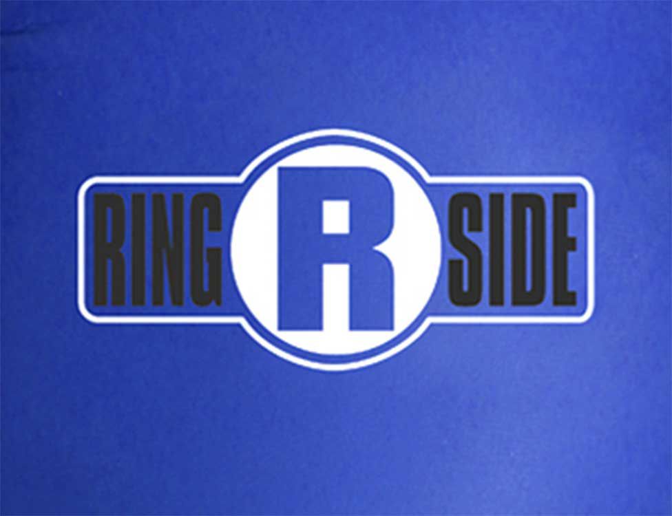 Ringside Pro Style Training Gloves product image