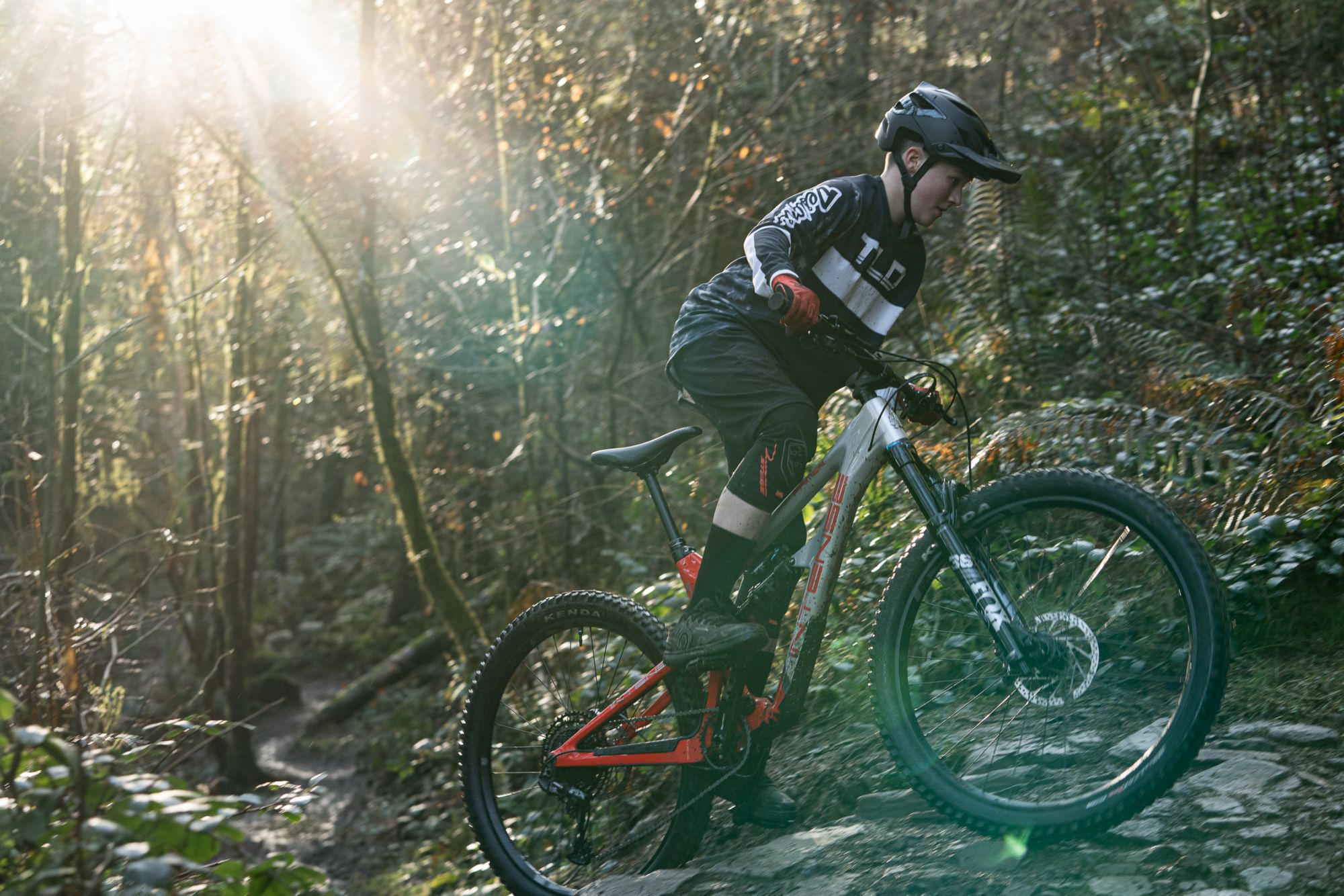 Intense Adult Primer 275 Expert Mountain Bike product image