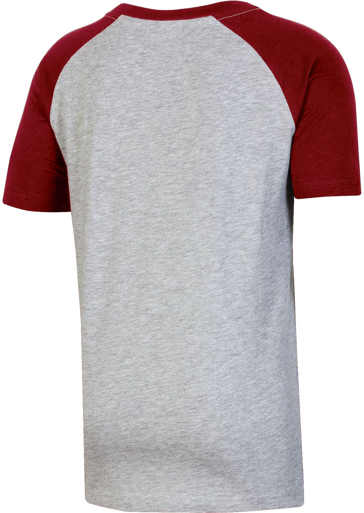 Champion Youth South Carolina Gamecocks Grey T-Shirt product image