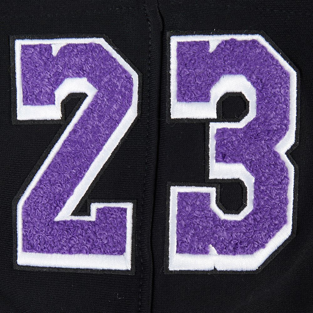 Pro Standard Men's Los Angeles Lakers LeBron James Remix Hoodie product image