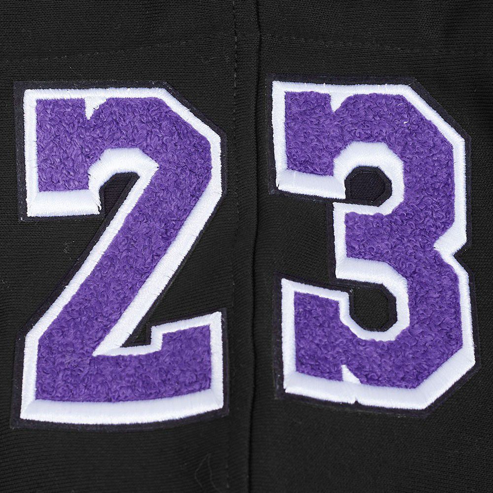 Pro Standard Men's Los Angeles Lakers LeBron James #23 Black Skyhook Fleece Hoodie product image