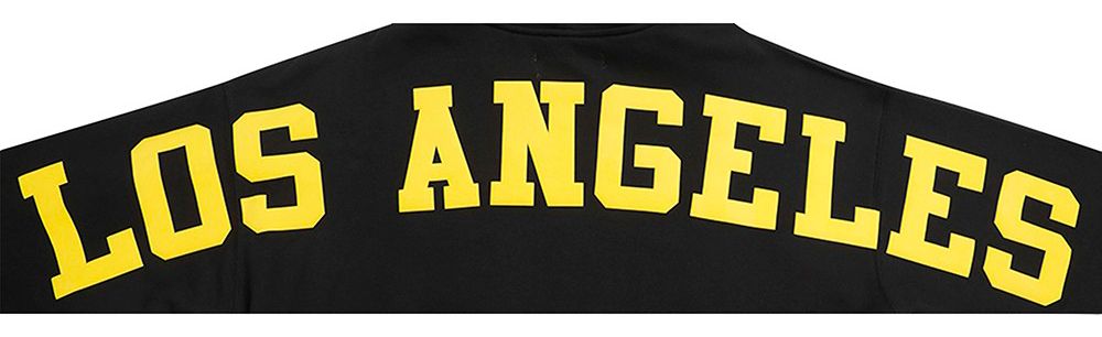 Pro Standard Men's Los Angeles Lakers Black Wingspan Drop Shoulder Hoodie product image