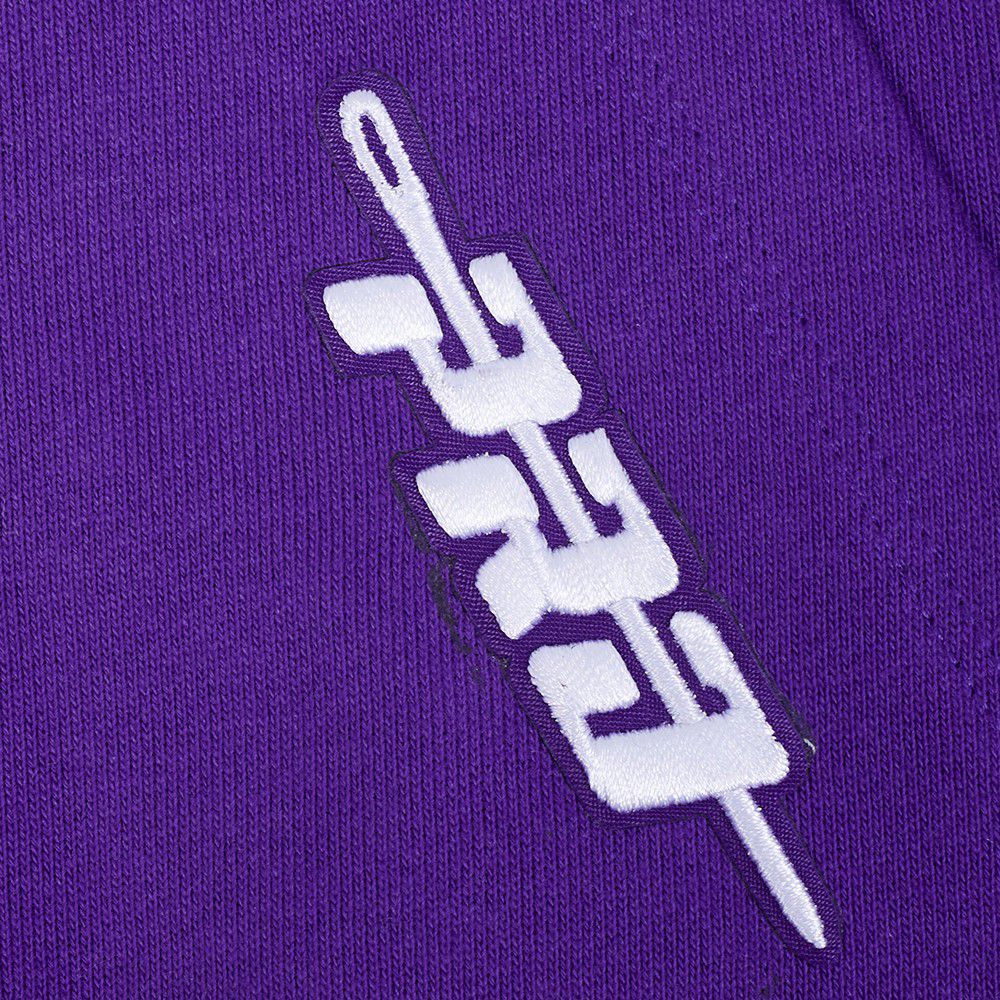 Pro Standard Men's Los Angeles Lakers Purple Souvenir Fleece Pullover Hoodie product image