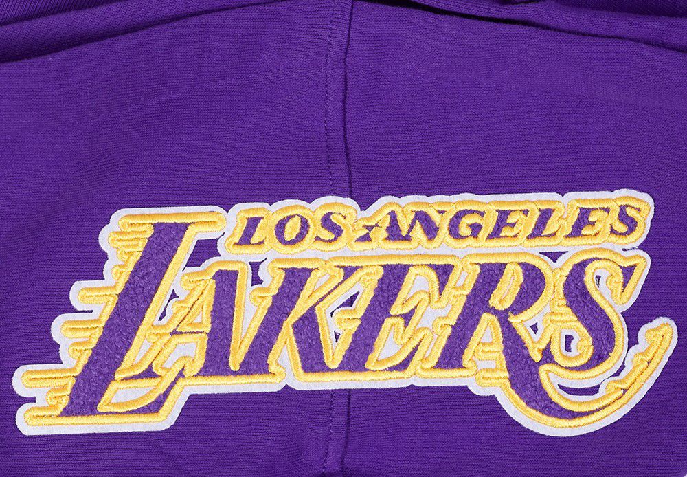 Pro Standard Men's Los Angeles Lakers Purple Souvenir Fleece Pullover Hoodie product image