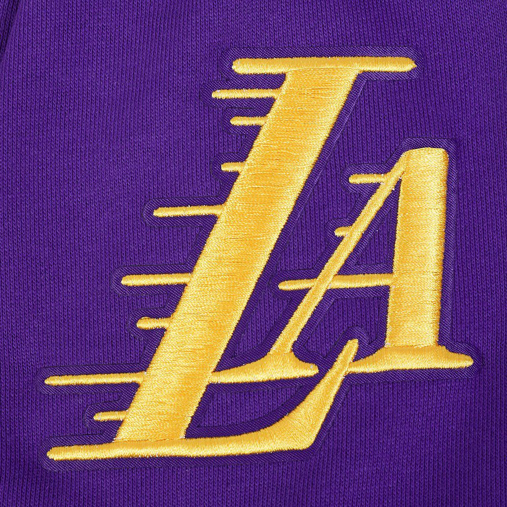 Pro Standard Men's Los Angeles Lakers Purple Souvenir Fleece Pullover Hoodie product image