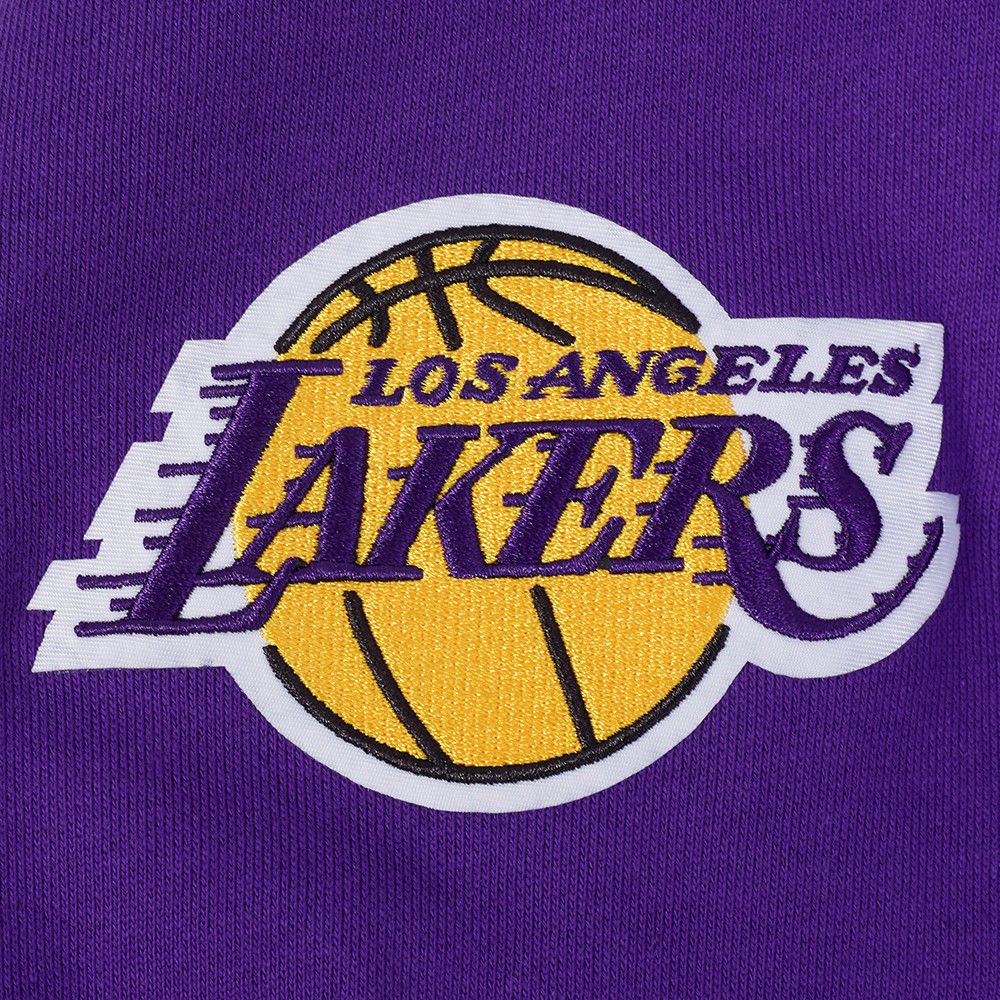 Pro Standard Men's Los Angeles Lakers Purple Souvenir Fleece Pullover Hoodie product image