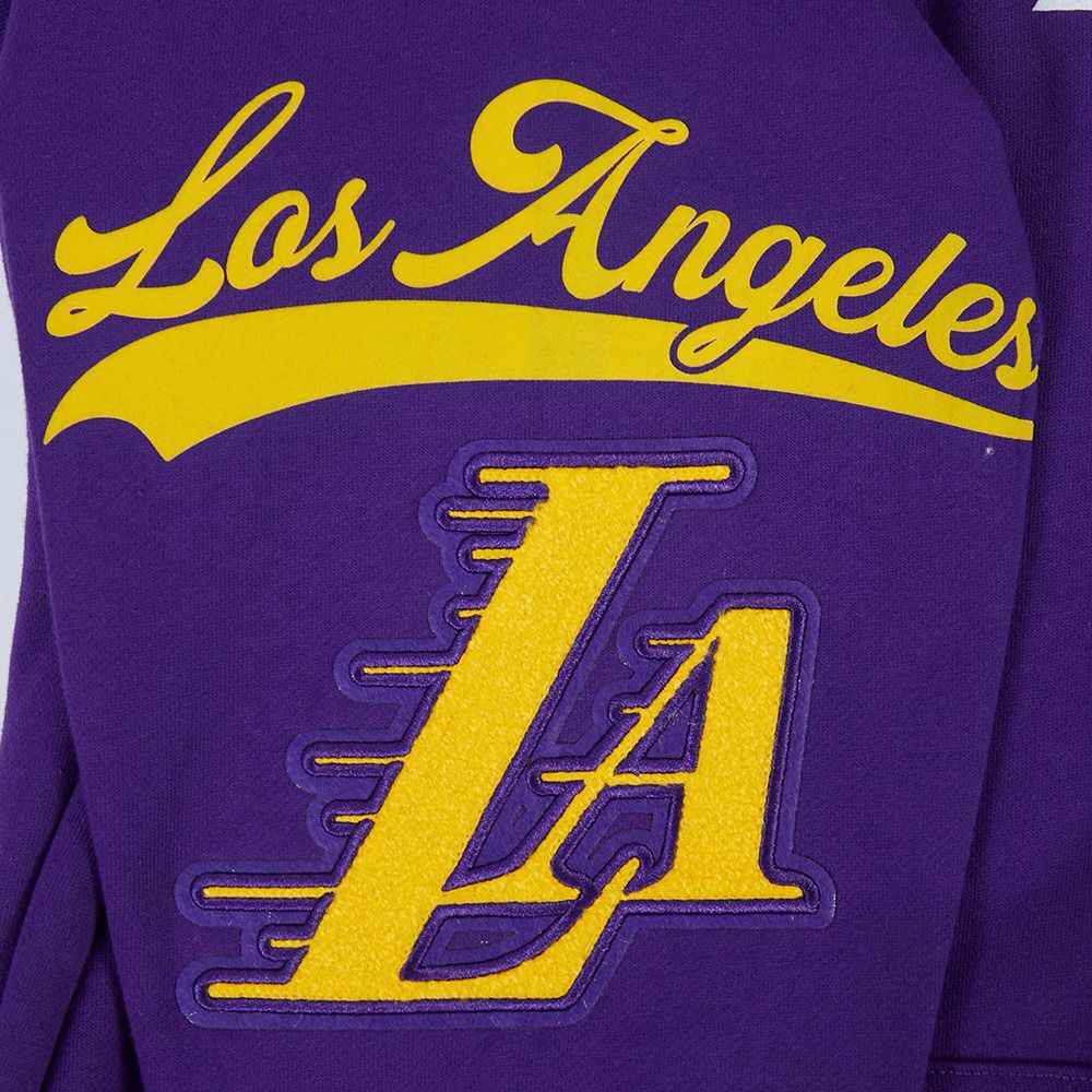Pro Standard Men's Los Angeles Lakers Purple Living Large Hoodie product image