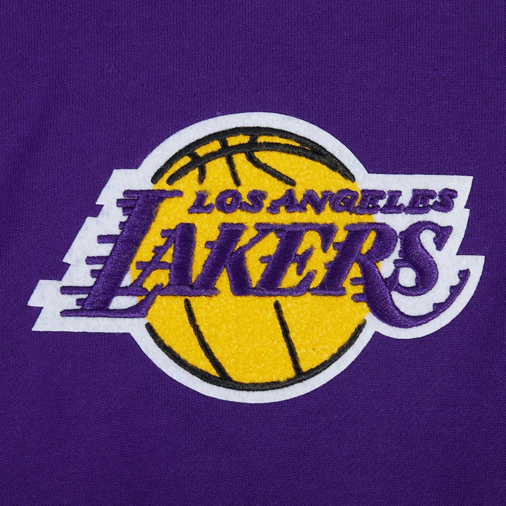 Pro Standard Men's Los Angeles Lakers Purple Living Large Hoodie product image