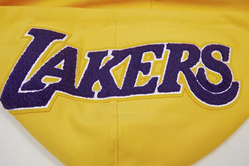 Pro Standard Men's Los Angeles Lakers Yellow Classic Chenille Full-Zip Hoodie product image