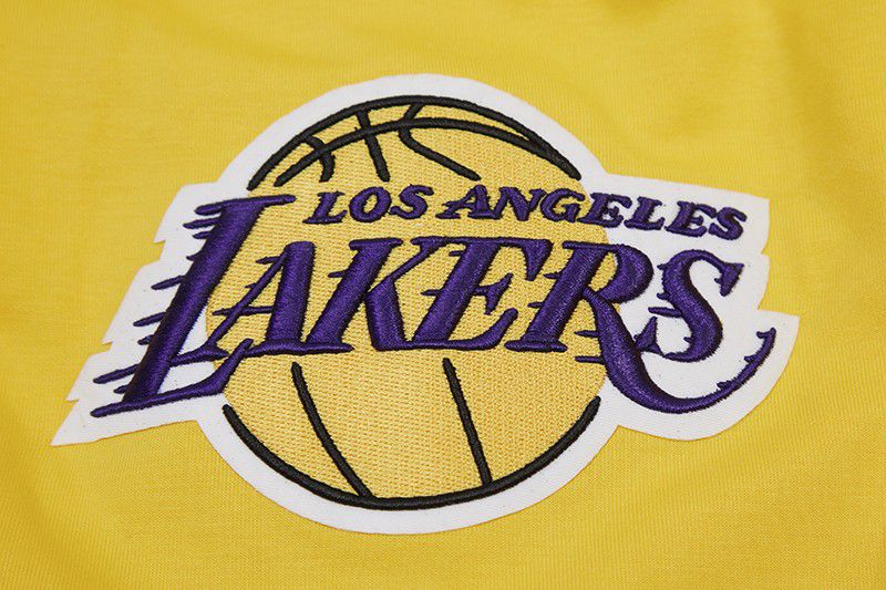 Pro Standard Men's Los Angeles Lakers Yellow Classic Chenille Full-Zip Hoodie product image