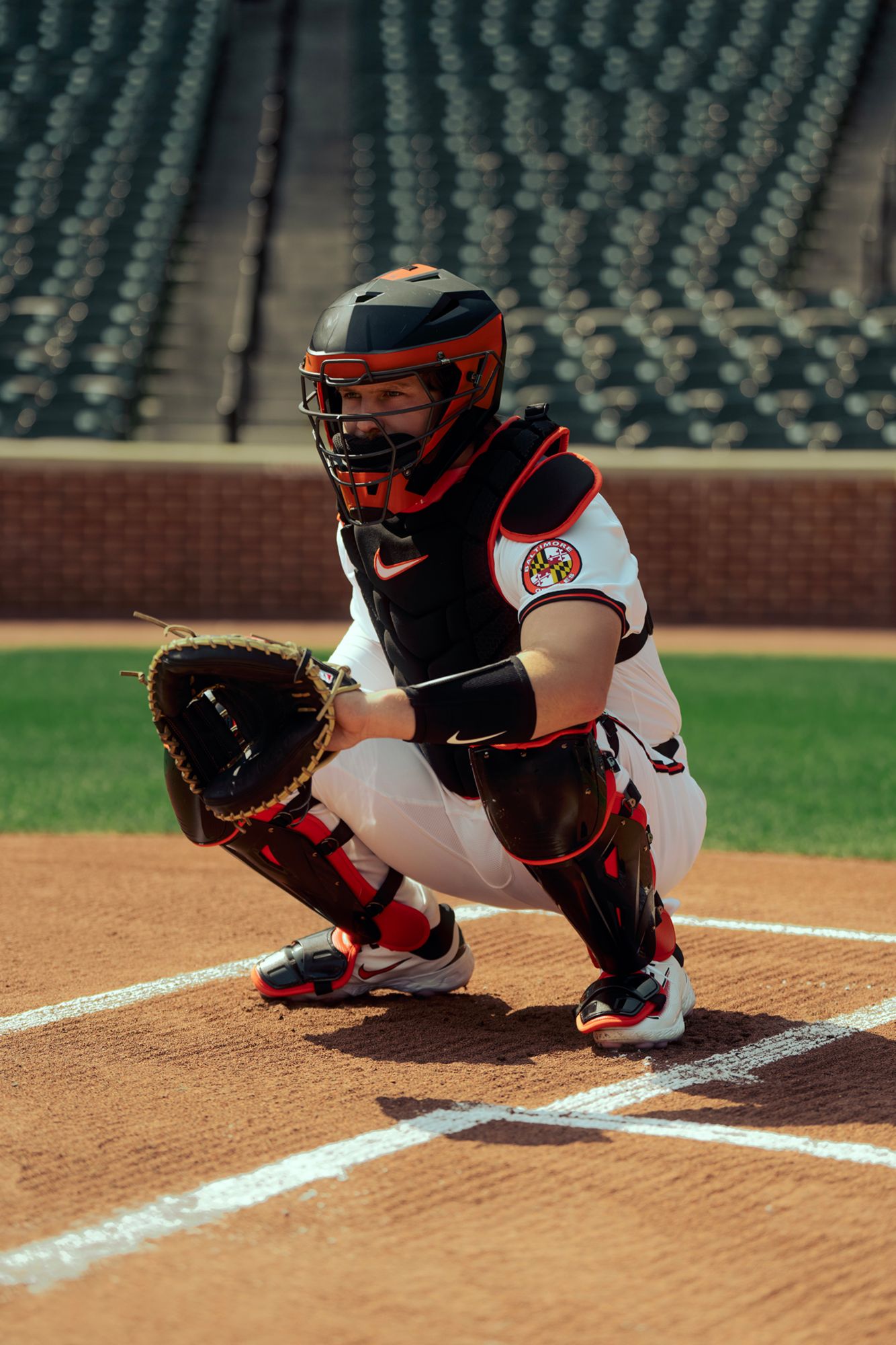 Nike Diamond Elite Catcher's Leg Guards product image