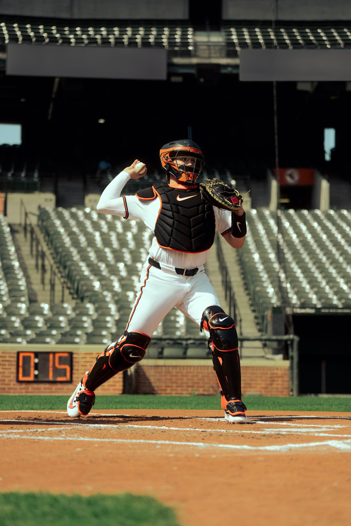 Nike Diamond Elite Catcher's Leg Guards product image