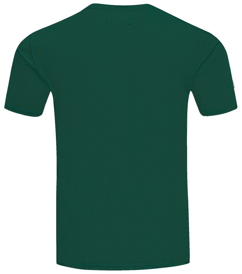 Pro Standard Men's Milwaukee Bucks Green Classic Chenille T-Shirt product image