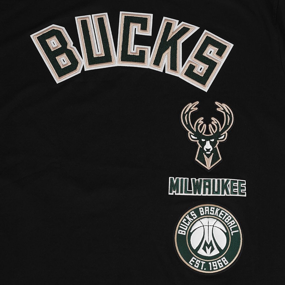 Pro Standard Men's Milwaukee Bucks Black Retro Classic Striped Short Sleeve T-Shirt product image