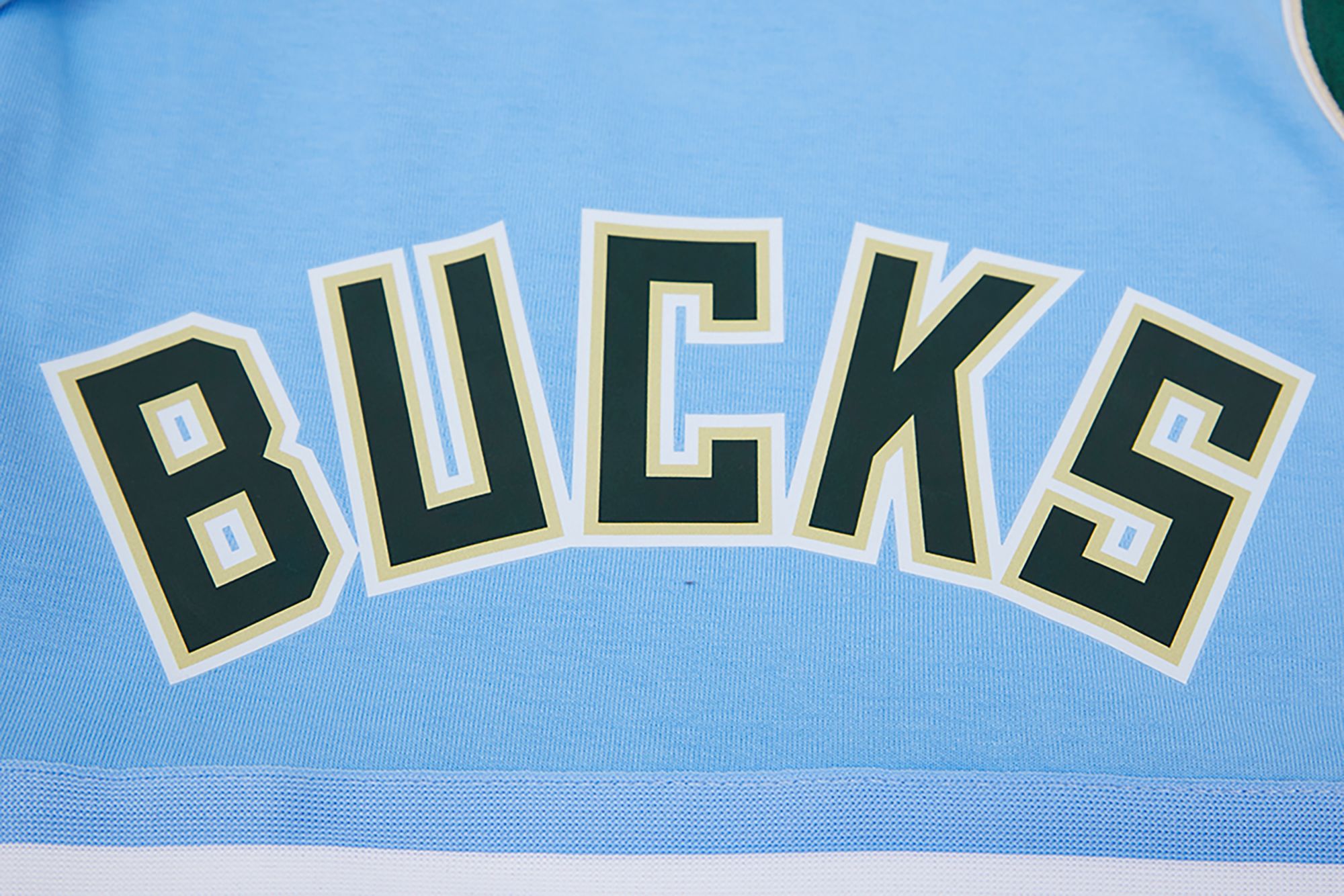Pro Standard Men's Milwaukee Bucks Blue Chenille Shorts product image