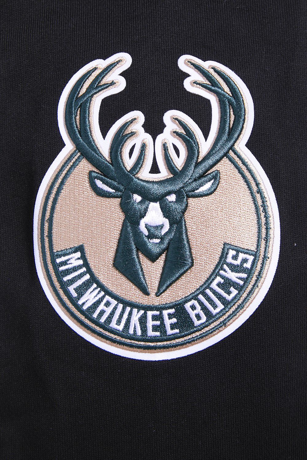 Pro Standard Men's Milwaukee Bucks Black Classic Fleece Hoodie product image