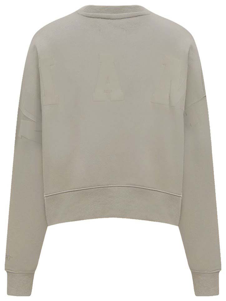 Pro Standard Women's Miami Heat Wingpsan Crewneck Sweatshirt product image