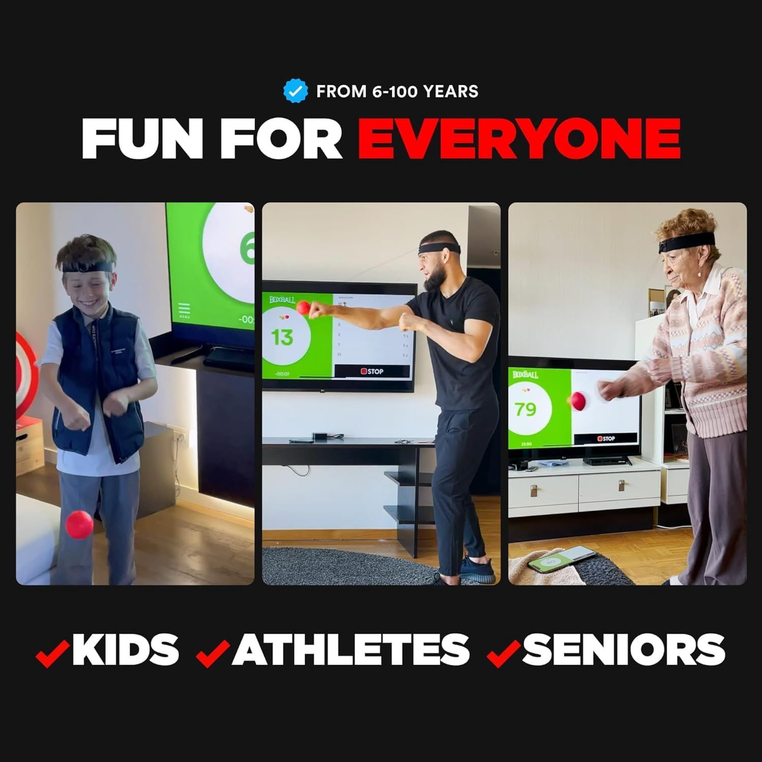 Boxbollen Agility Ball product image