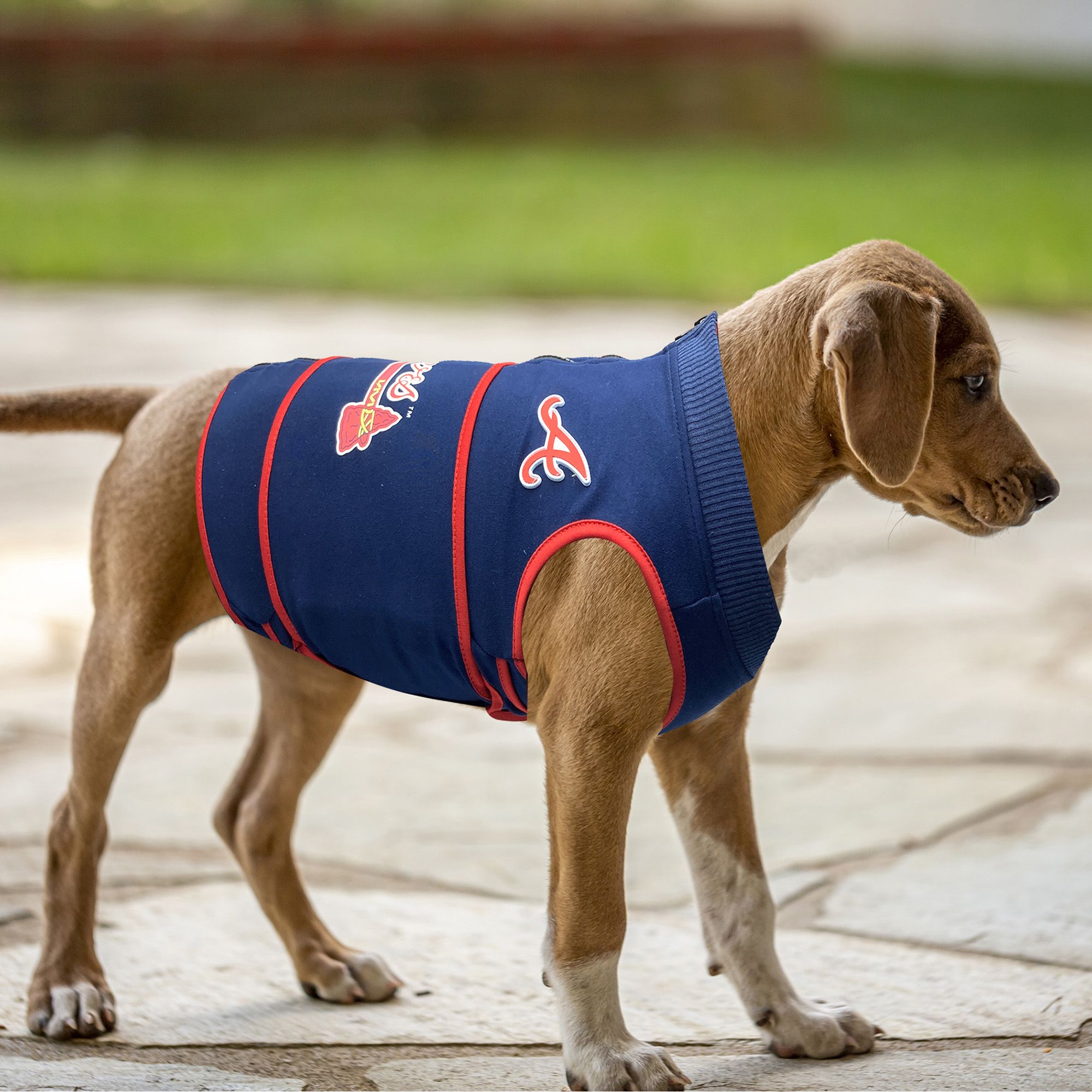 Pets First Atlanta Braves Soothing Solution Vest product image