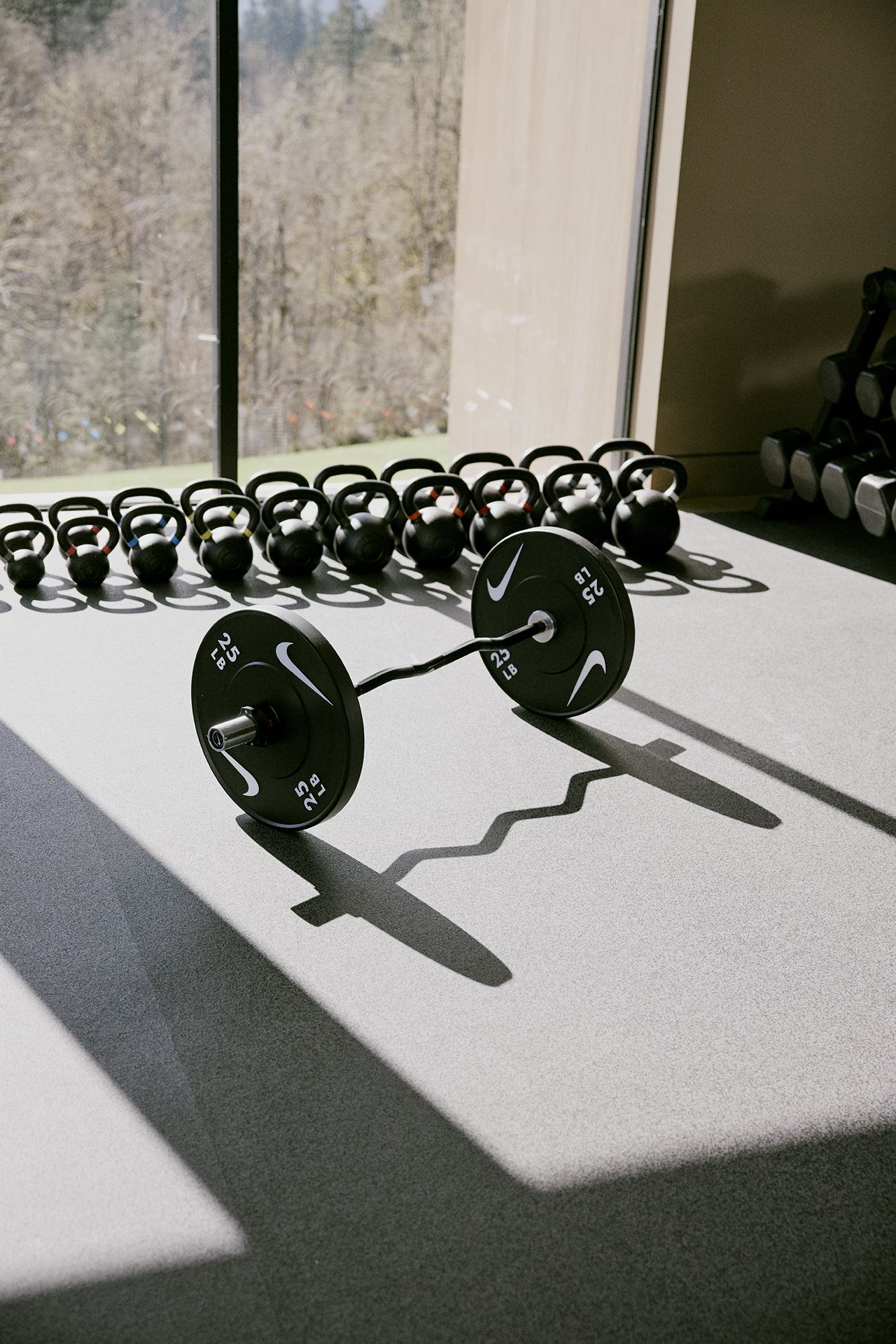 Nike Curl Bar – 10KG product image