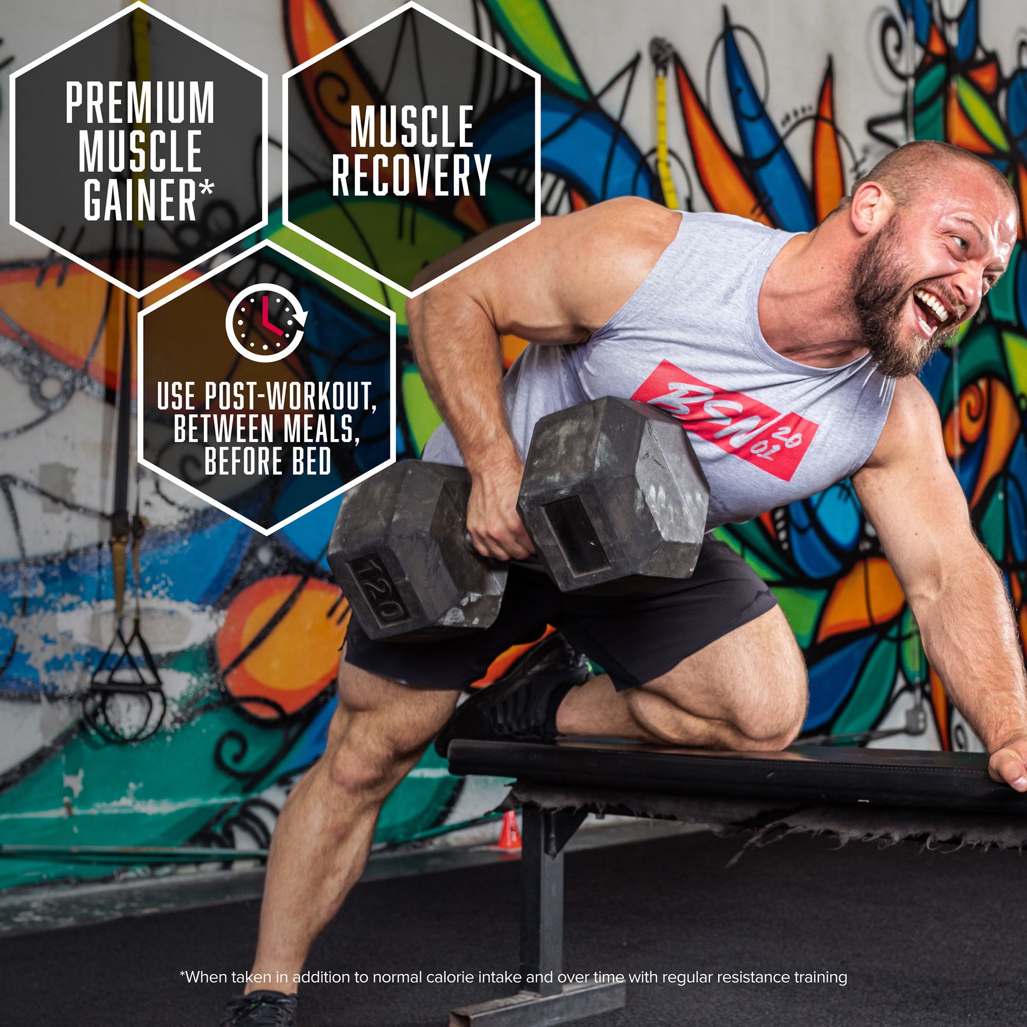 BSN True-Mass Protein Powder 5.75 lbs product image