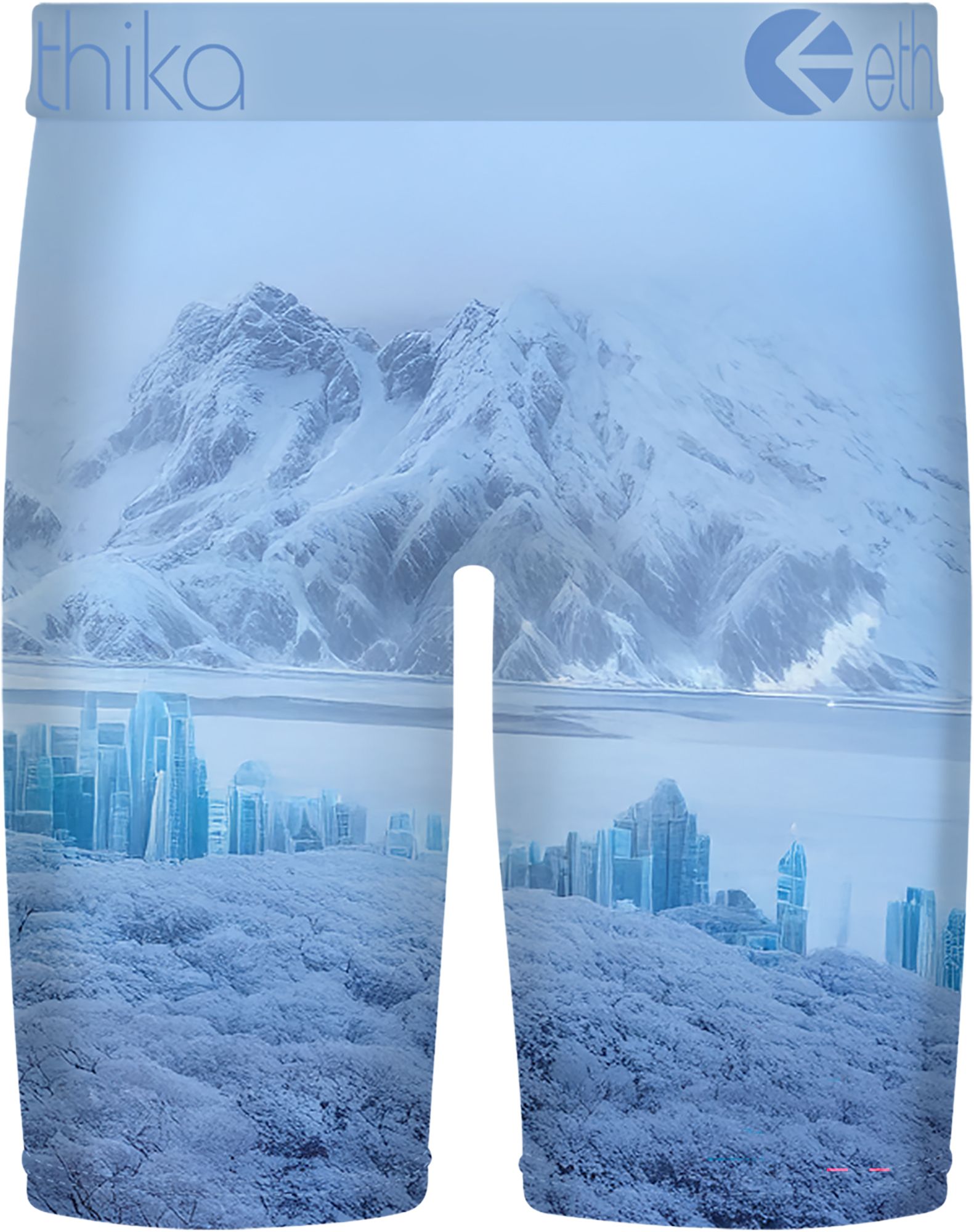 Ethika Boys' BMR City Of Stillness Boxer Briefs product image