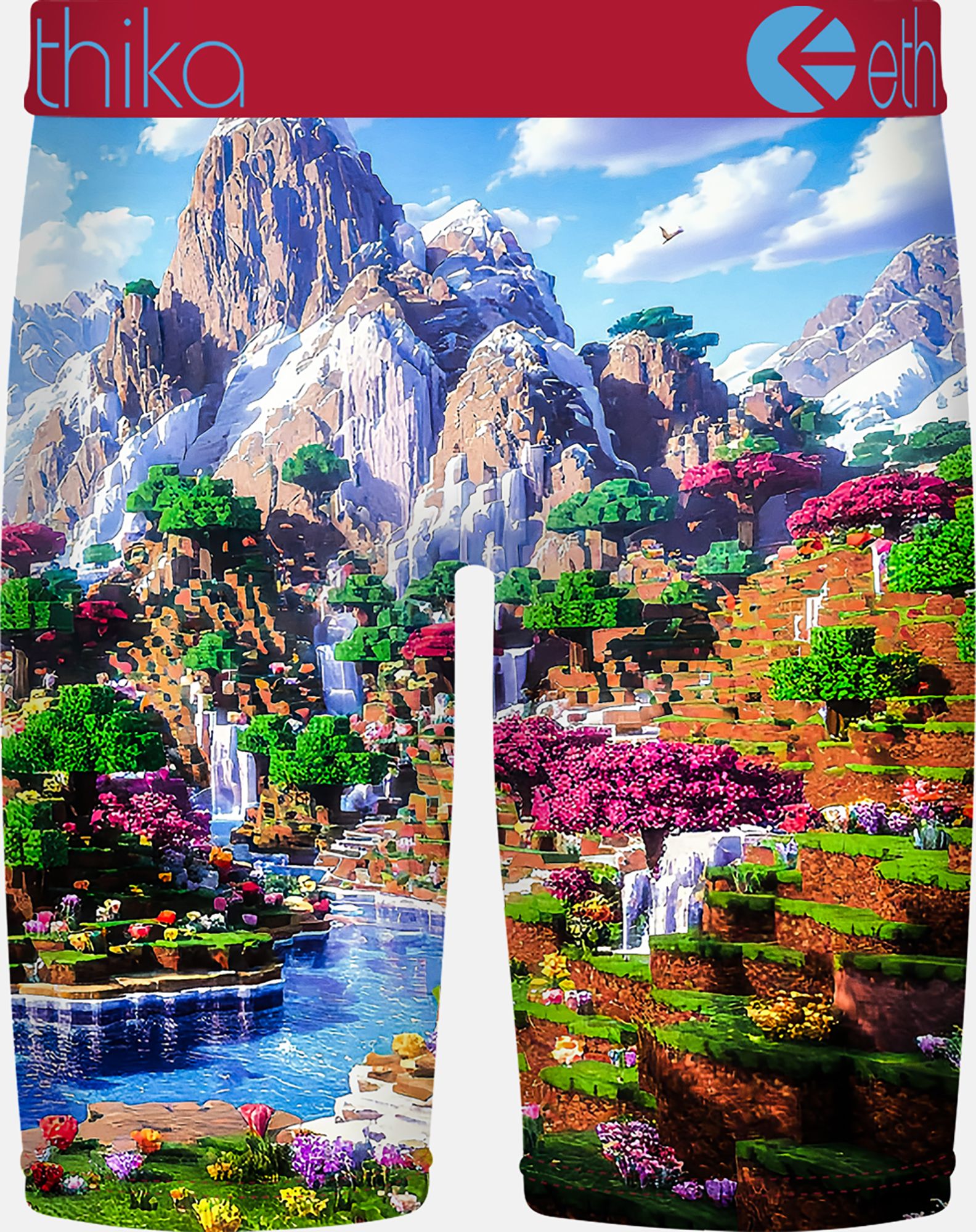 Ethika Boys' Block Bound Boxer Briefs product image