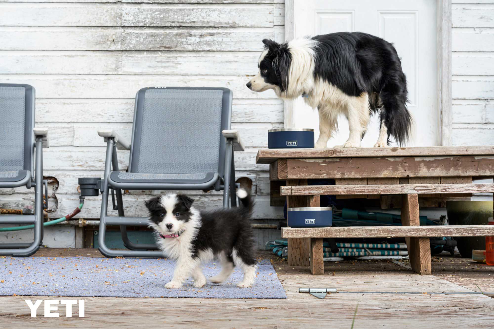 YETI Boomer 4 Dog Bowl product image