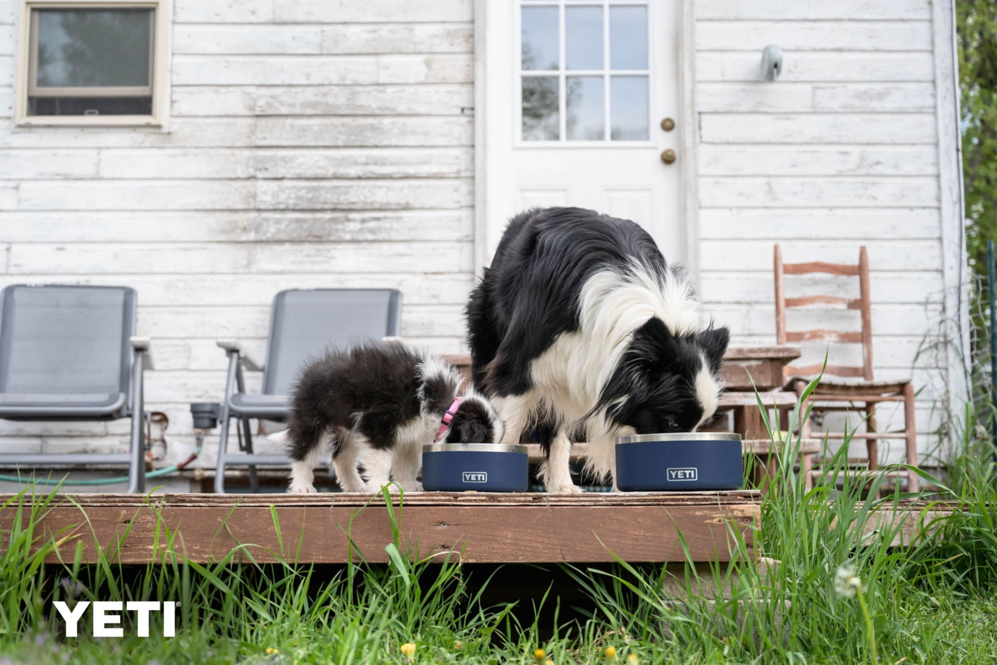 YETI Boomer 4 Dog Bowl product image