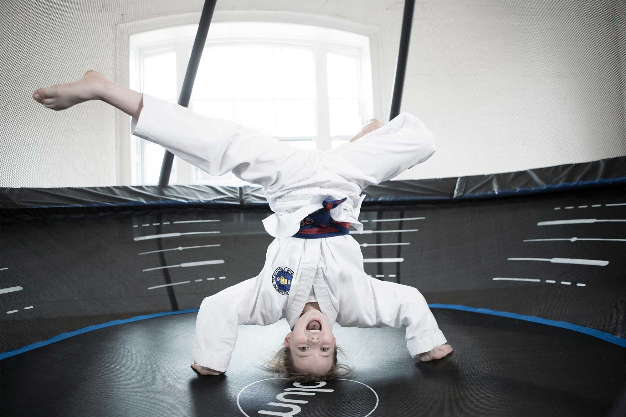 Plum BOWL Trampoline product image