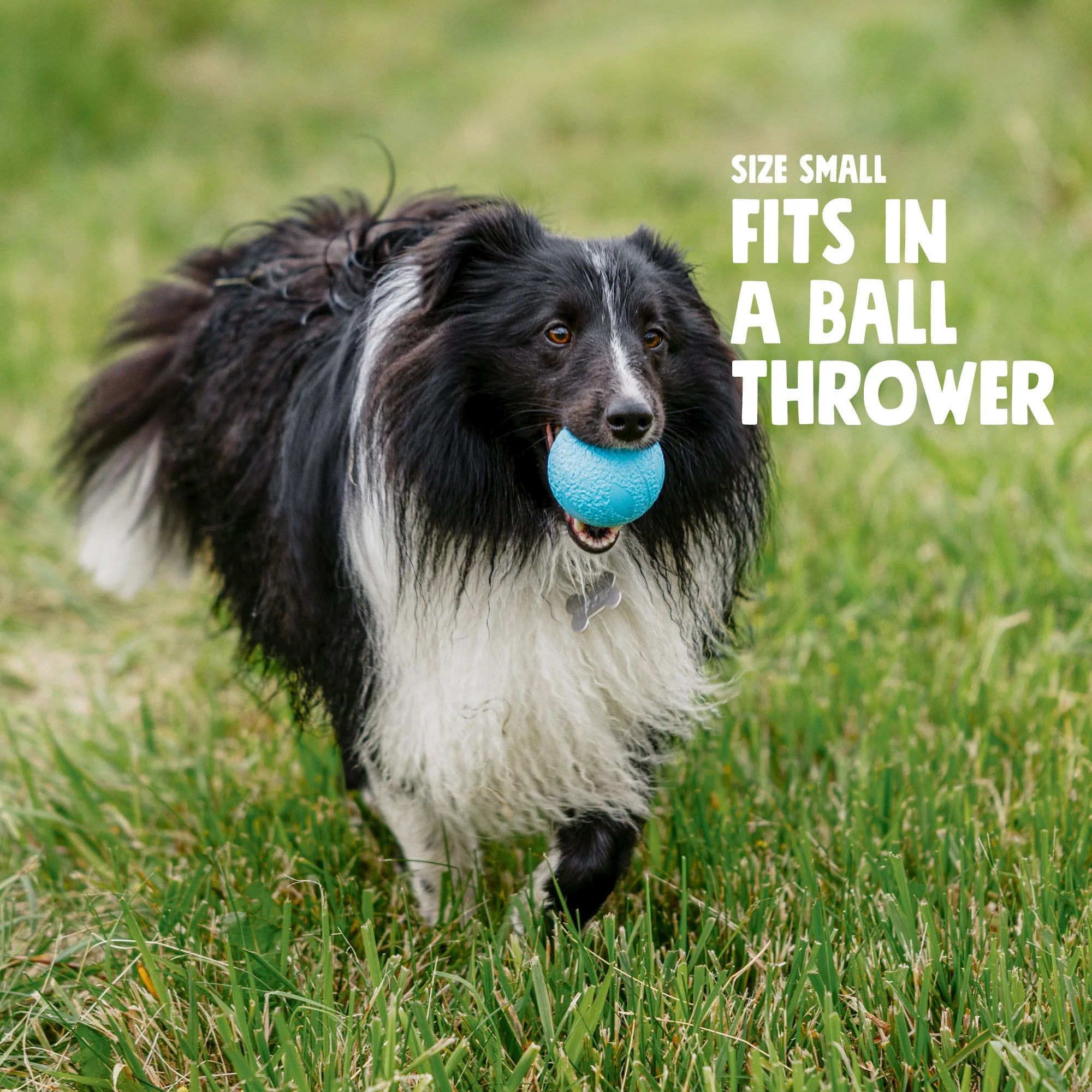 West Paw Boundr Dog Toy product image