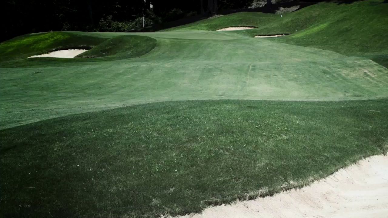 Bridgestone TOUR B X Golf Balls product