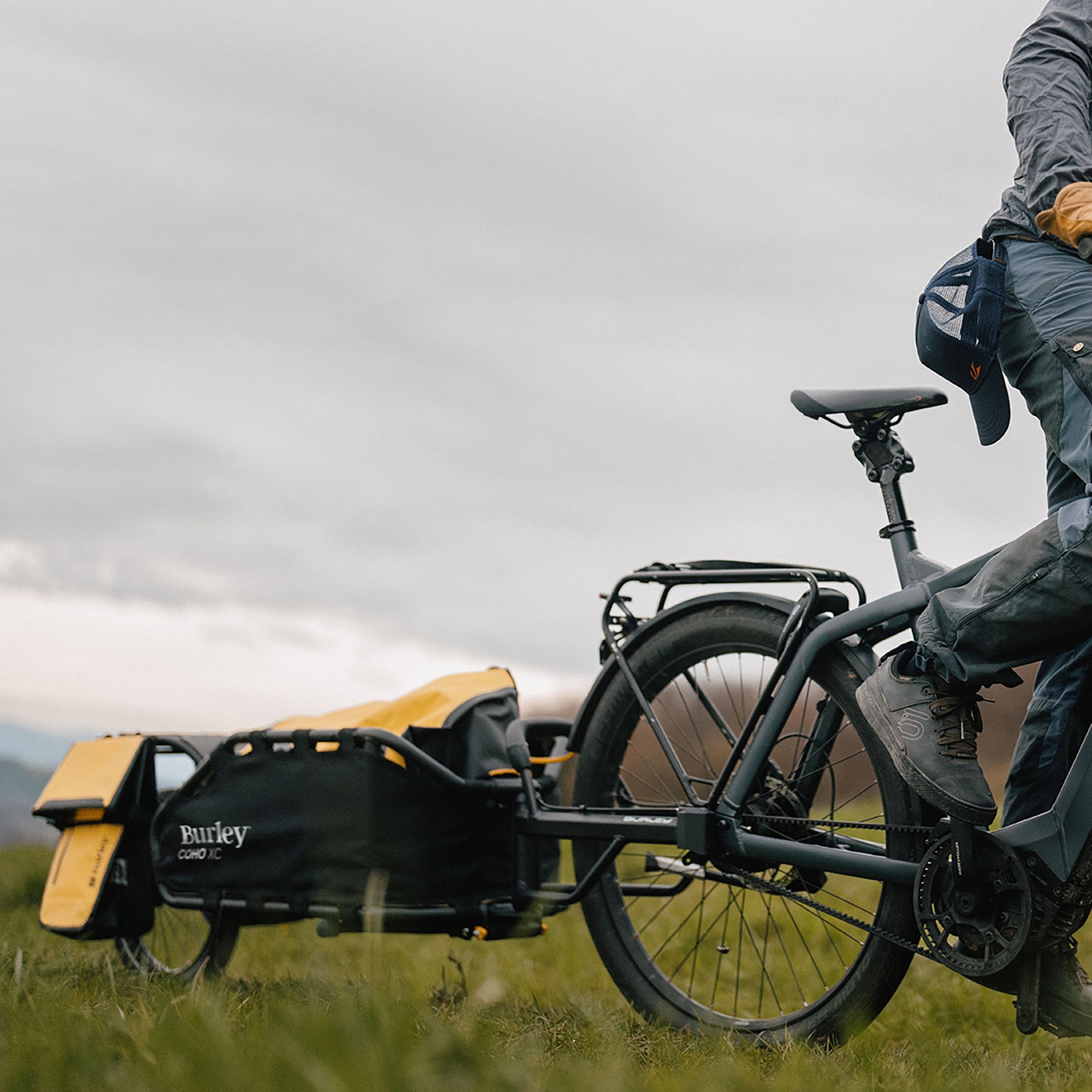 Burley Pannier Set product image