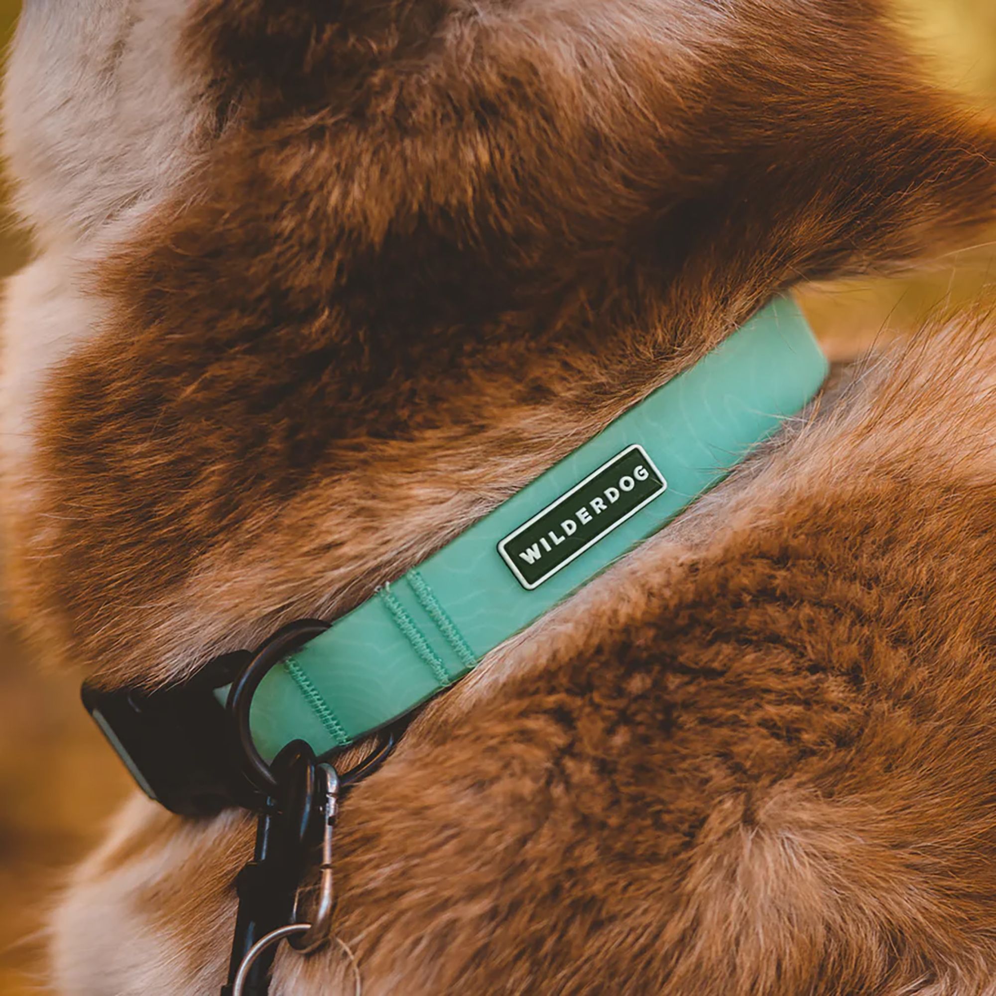 Wilderdog Waterproof Collar product image