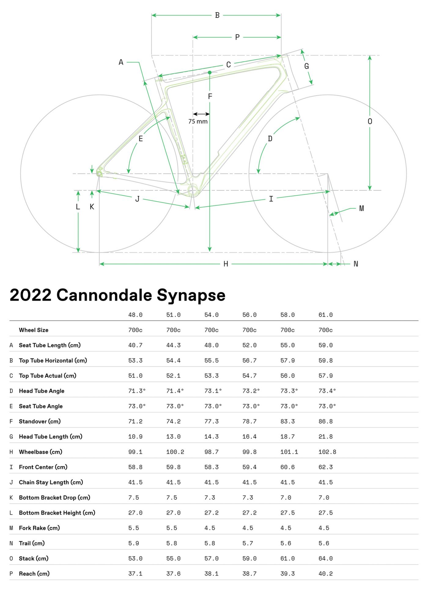 Cannondale Adult 700 Synapse Carbon 3 Road Bike Ship to Home Publiclands