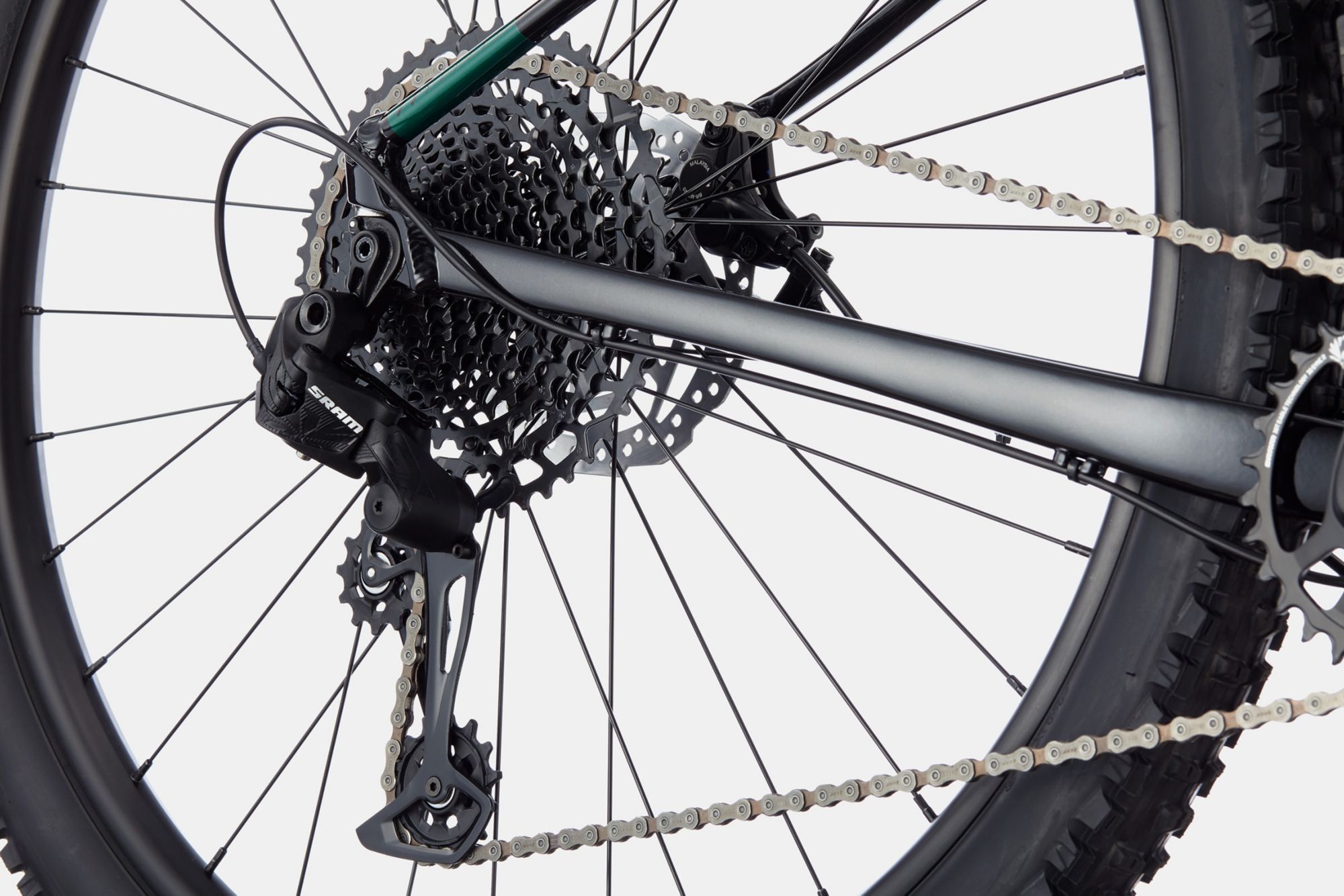 Cannondale Men's 29” Trail SE 2 Mountain Bike product image