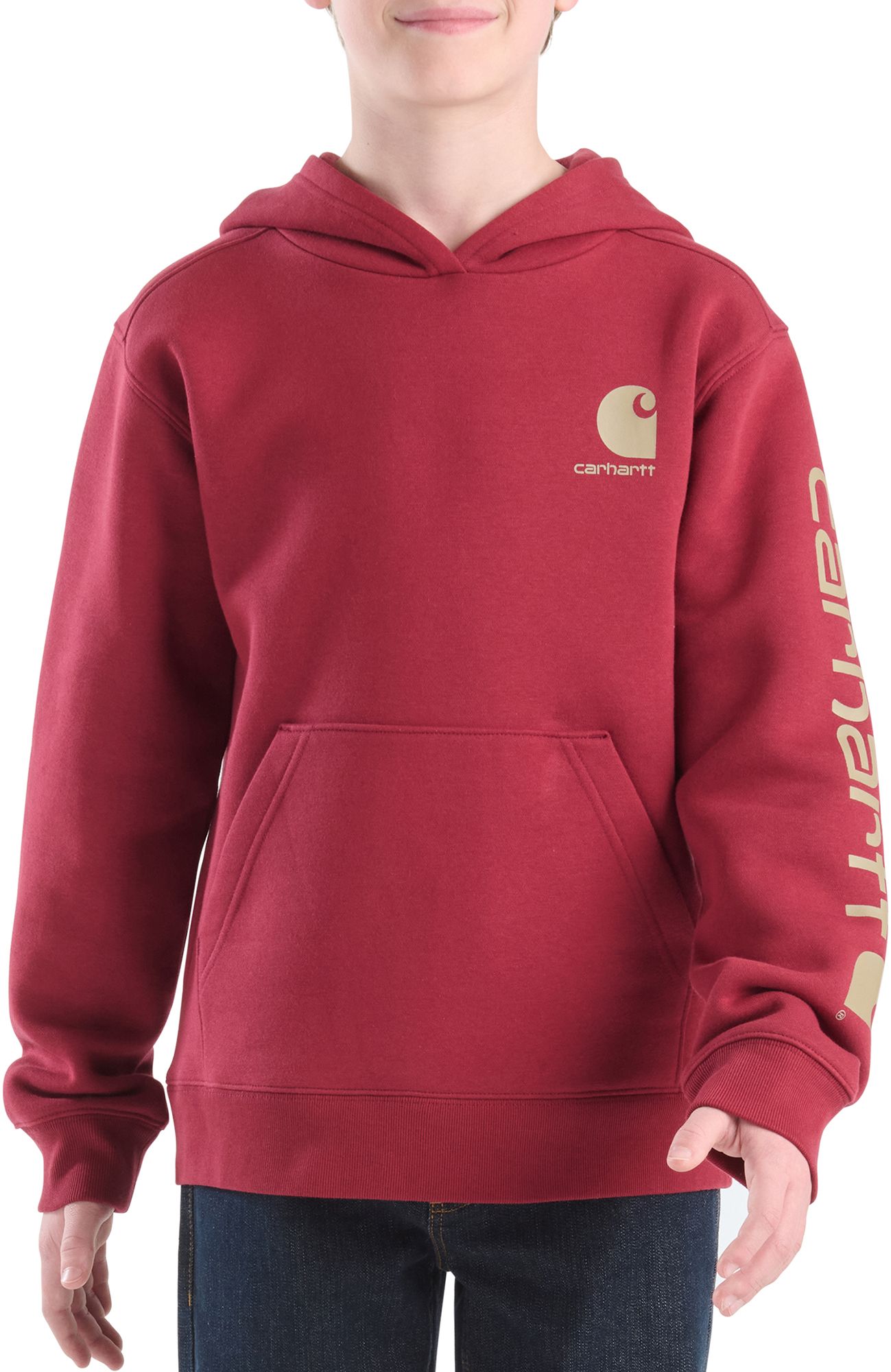 Carhartt Boys' Graphic Hoodie product image