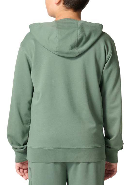 Carhartt Boys' Garment Dye Hoodie product image