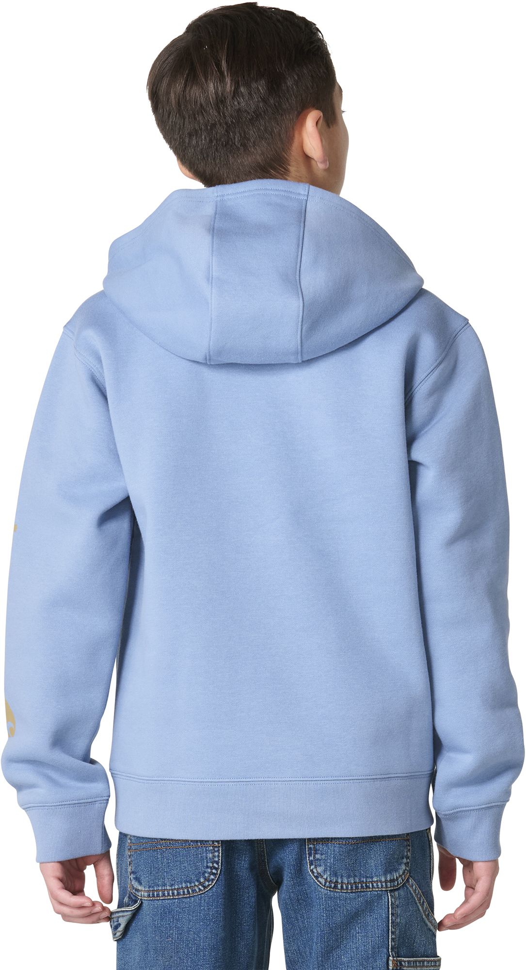 Carhartt Boys' Logo Graphic Hoodie product image