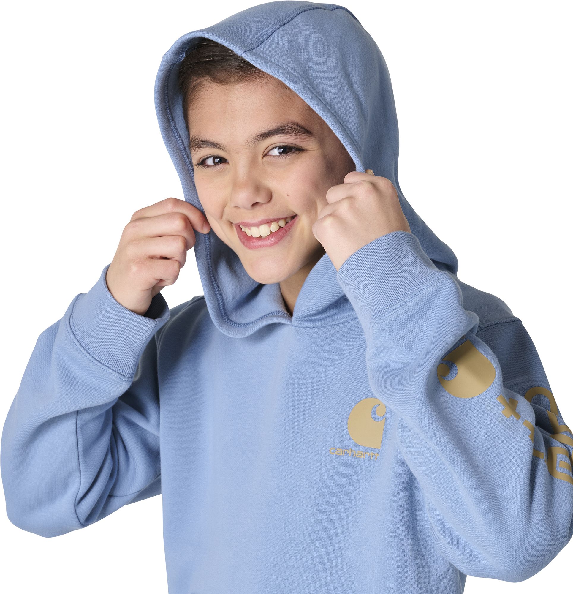 Carhartt Boys' Logo Graphic Hoodie product image