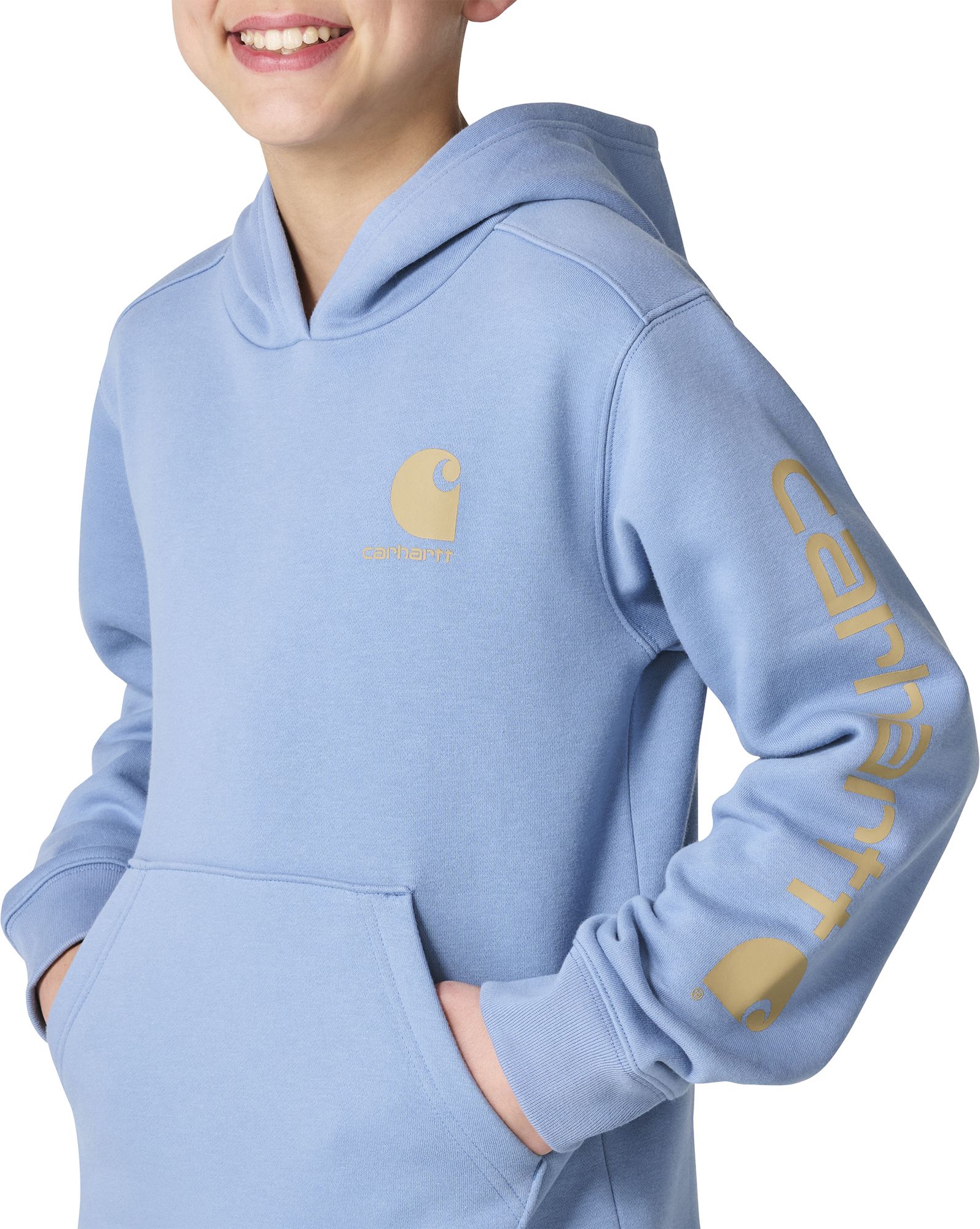 Carhartt Boys' Logo Graphic Hoodie product image