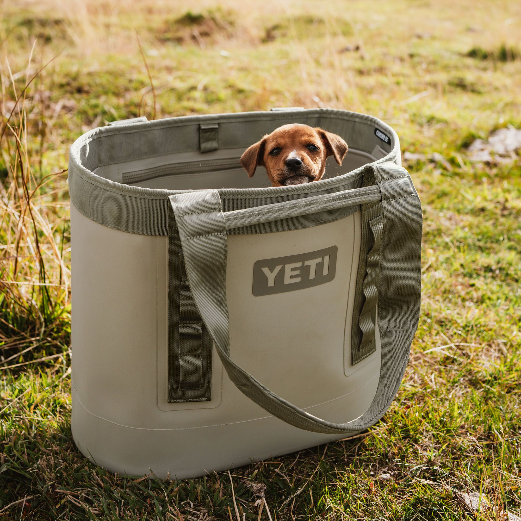 YETI Camino 35 Carryall 2.0 Tote Bag product image