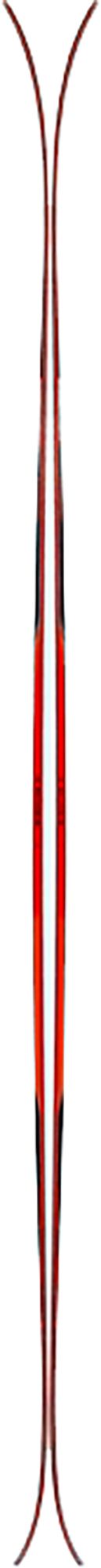 blackcrows Men's Camox Skis 2025 product image