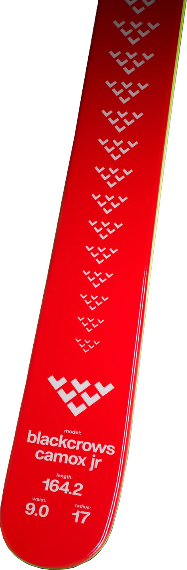 blackcrows '23-'24 Junior's Camox Freeride Skis product image