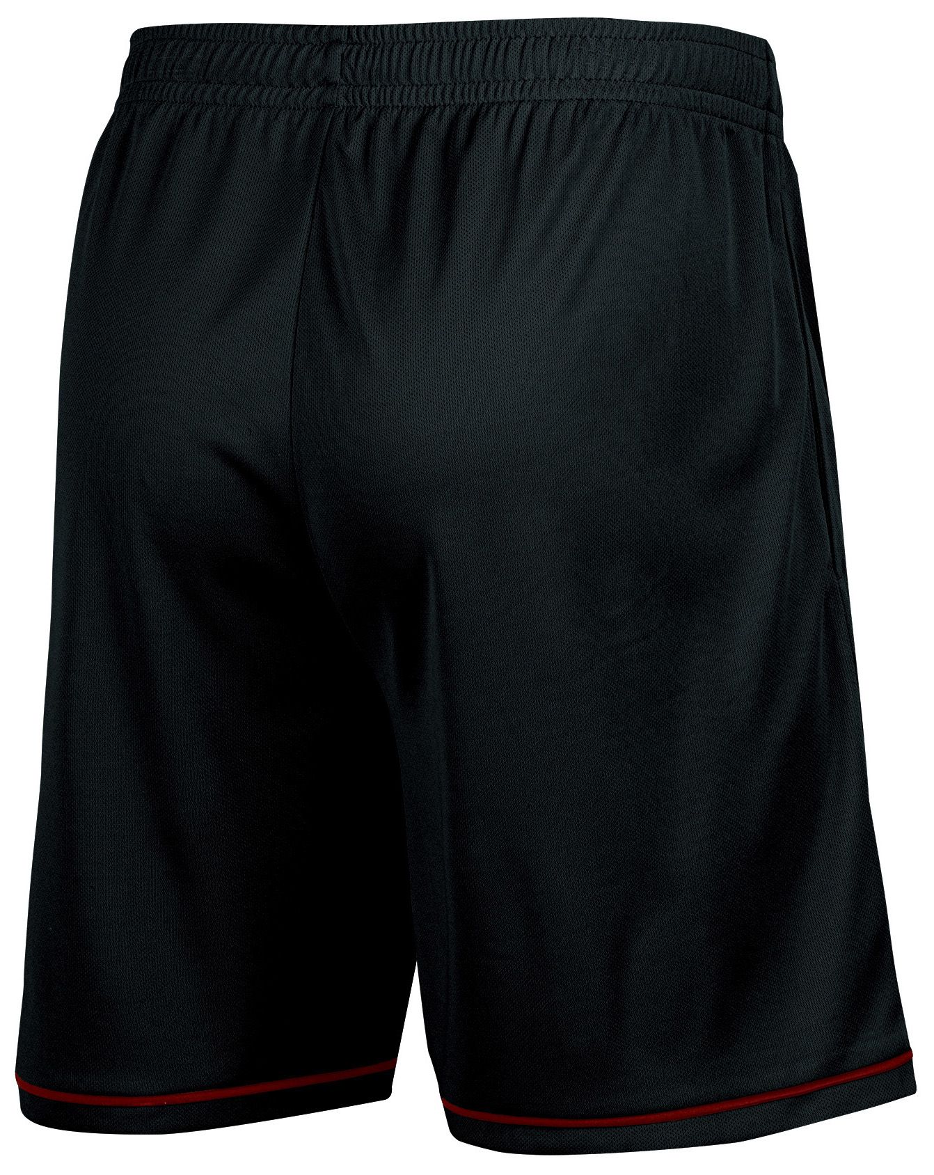 Champion Men's South Carolina Gamecocks Black/Cardinal Highlight Shorts product image