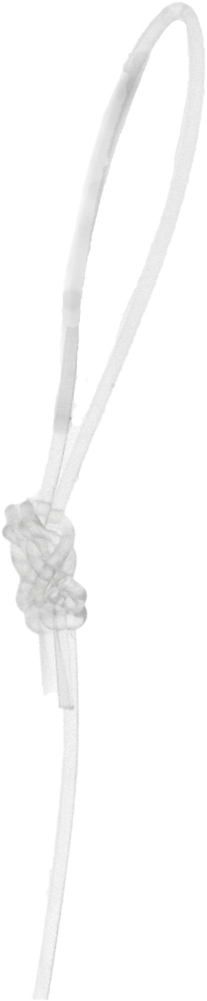 Eagle Claw Cat Claw Octopus Circle Monofilament Snell product image