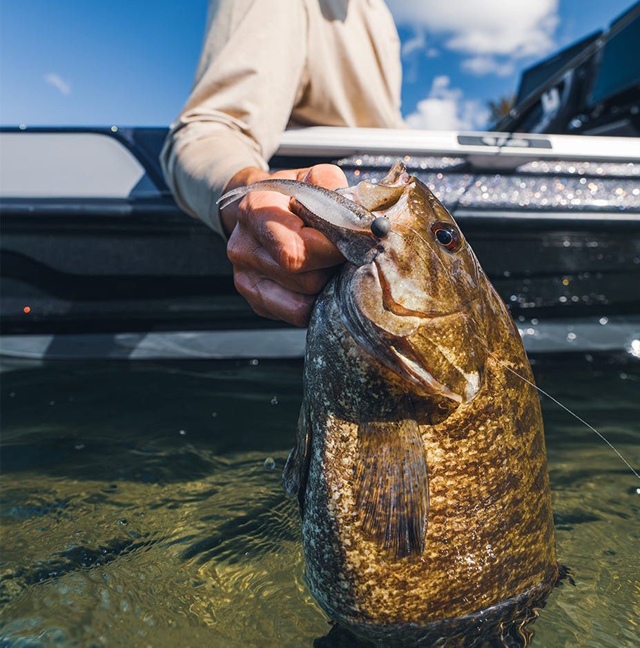 Rapala Crush City Jerk Softbait product image