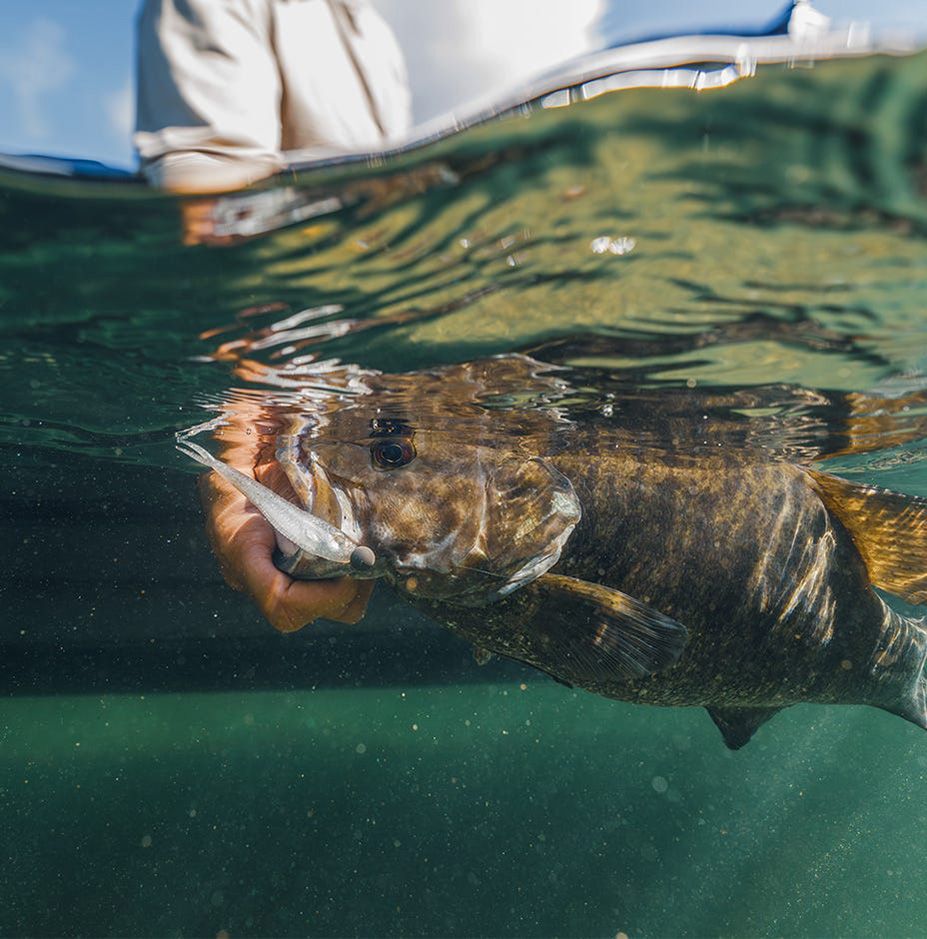 Rapala Crush City Jerk Softbait product image