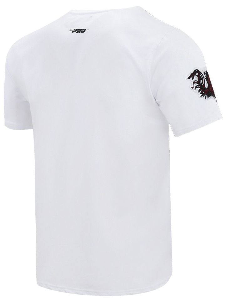 Pro Standard Men's South Carolina Gamecocks White Classic T-Shirt product image