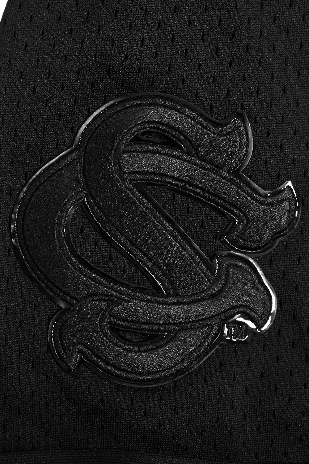 Pro Standard Men's South Carolina Gamecocks Black Replica Full-Button Baseball Jersey product image